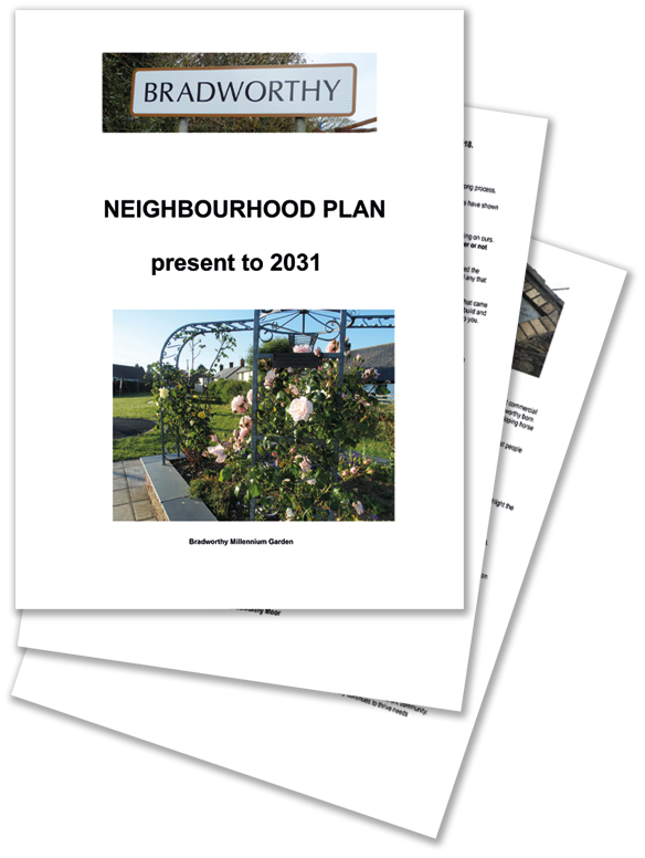 Neighbourhood Plan document